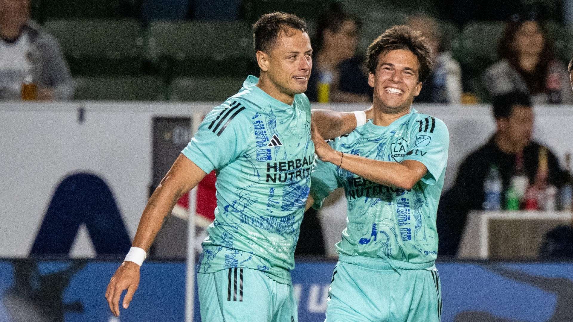 养和本土球 养和本土球