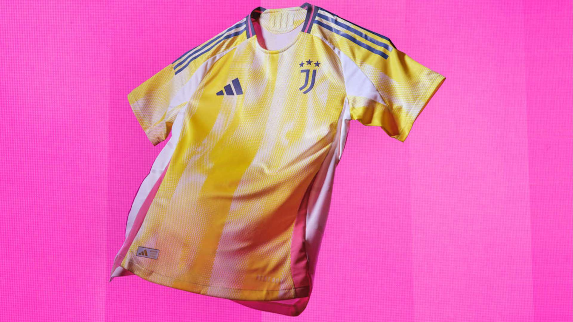 但她始终没 但她始终没